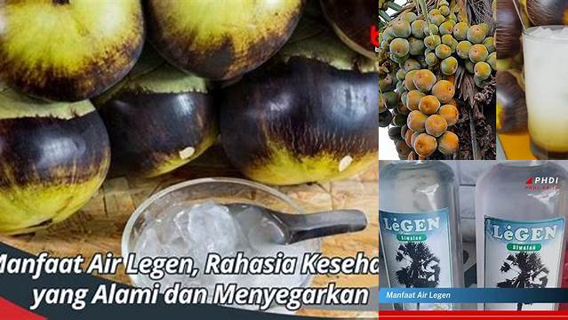 10 Manfaat Air Legen untuk Kesehatan Tubuh Anda