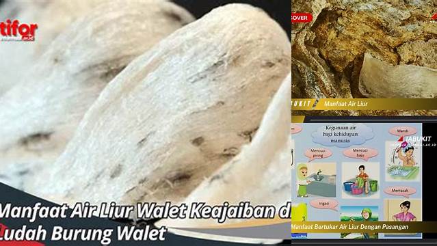 10 Manfaat manfaat air liur menjaga kesehatan mulut