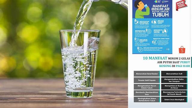 Temukan Rahasia Manfaat Air Minum yang Jarang Diketahui