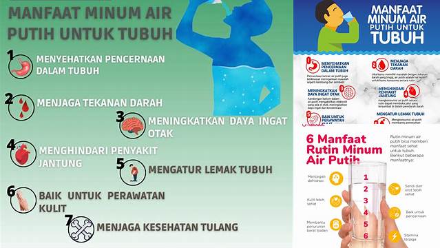 Temukan Rahasia Manfaat Air Minum yang Jarang Diketahui