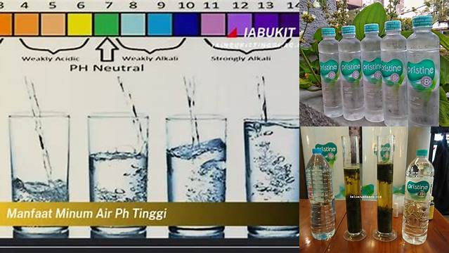 9 Manfaat Air Minum pH Tinggi untuk Kesehatan Tubuh Anda