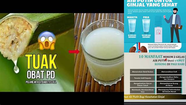 10 Manfaat manfaat air nira untuk ginjal Sehat Alami Terbukti!