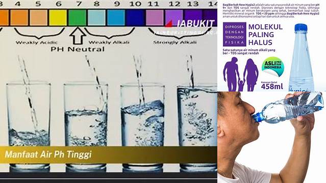 9 Manfaat manfaat air ph tinggi untuk wajah Rahasia Kulit Glowing Alami