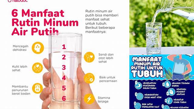 Temukan Manfaat Air Putih yang Jarang Diketahui dan Penting untuk Anda