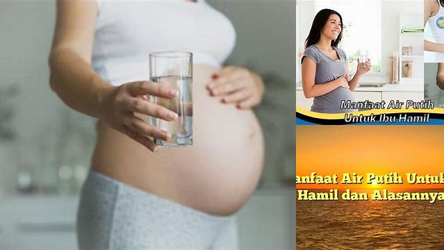 9 Manfaat manfaat air putih untuk ibu hamil agar kehamilan sehat!