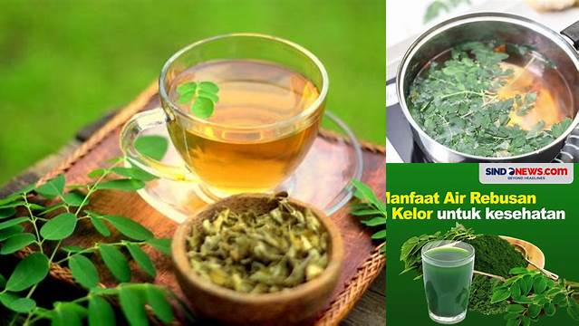8 Manfaat Air Rebusan Daun Kelor untuk Kesehatan, Kecantikan, dan Stamina