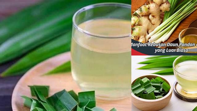 9 Manfaat Air Rebusan Daun Pandan untuk Kesehatan, Kecantikan, dan Kesejahteraan Anda