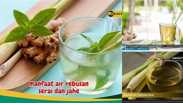 Manfaat Air Rebusan Serai yang Menakjubkan, Jarang Diketahui!