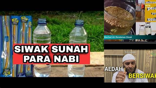8 Manfaat Air Rendaman Siwak Untuk Kesehatan Mulut
