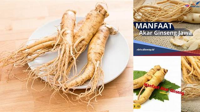 Manfaat Akar Ginseng yang Perlu Anda Ketahui