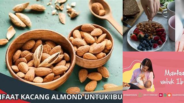 Manfaat Almond untuk Ibu Menyusui yang Jarang Diketahui