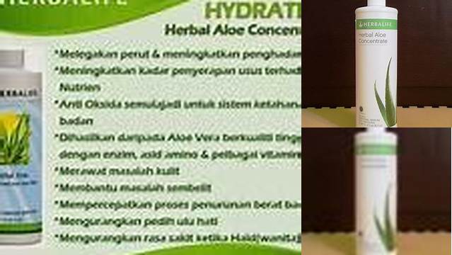 Temukan Manfaat Aloe Herbalife untuk Maag yang Jarang Diketahui