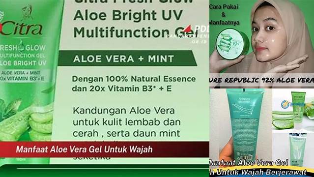 Temukan 7 Manfaat Aloe Vera Gel untuk Wajah yang Jarang Diketahui