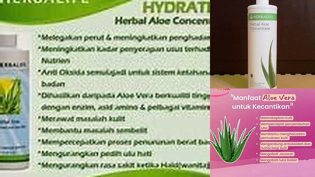 Temukan Manfaat Aloe Vera Herbalife untuk Maag yang Belum Diketahui