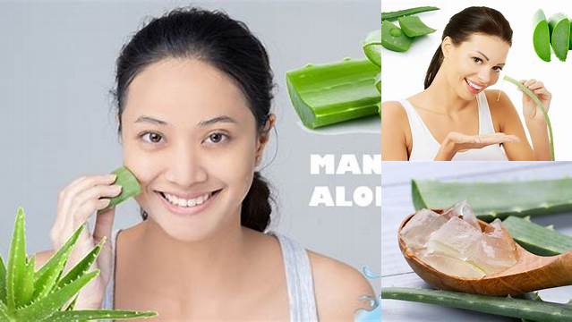 Temukan 9 Manfaat Aloe Vera untuk Wajah yang Jarang Diketahui