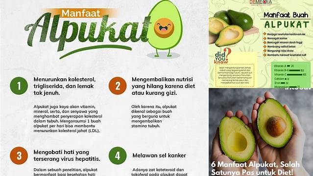 Temukan 7 Manfaat Alpukat untuk Diet yang Jarang Diketahui