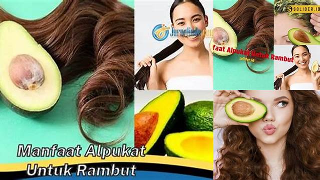 Temukan 10 Manfaat Alpukat untuk Rambut yang Belum Banyak Diketahui