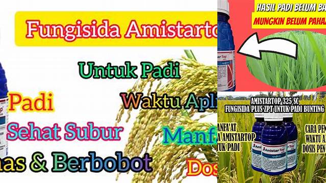 Temukan 5 Manfaat Amistartop untuk Padi yang Jarang Diketahui