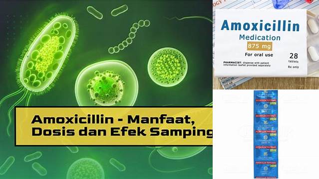 Manfaat Amoksisilin untuk Ibu Nifas: Penemuan dan Wawasan Langka