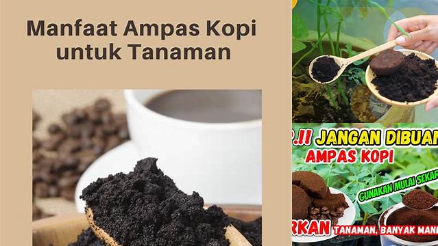 Temukan Rahasia Ampas Kopi untuk Tanaman yang Jarang Diketahui