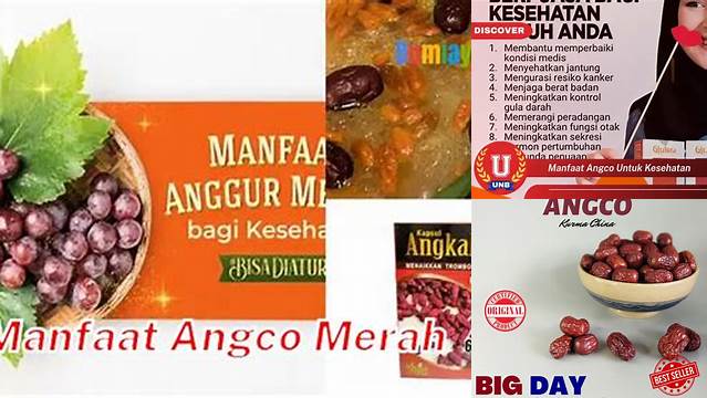 Manfaat Rahasia Angco Merah yang Jarang Diketahui