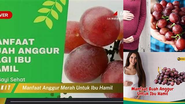 Temukan 10 Manfaat Anggur Merah untuk Ibu Hamil yang Jarang Diketahui