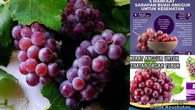 Temukan Manfaat Anggur untuk Kesehatan yang Jarang Diketahui