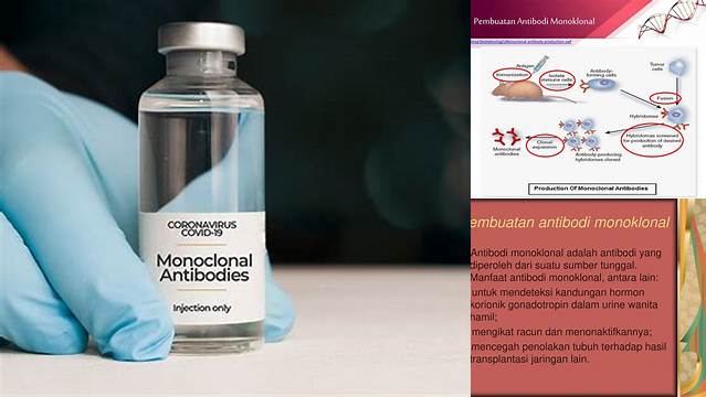 Manfaat Antibodi Monoklonal yang Jarang Diketahui yang Perlu Anda Ketahui