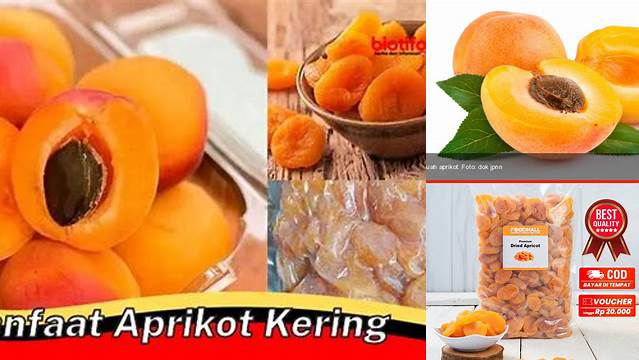 Temukan Berbagai Manfaat Aprikot Kering yang Jarang Diketahui