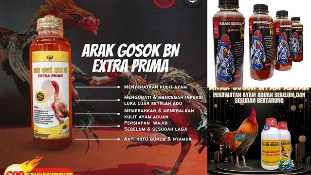 Temukan Manfaat Arak Gosok untuk Ayam Aduan yang Jarang Diketahui