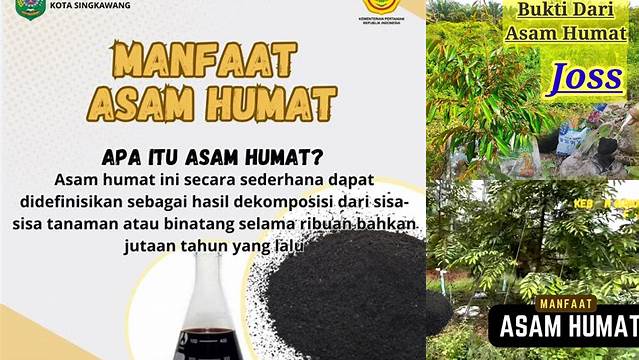 Temukan 10 Manfaat Asam Humat yang Jarang Diketahui