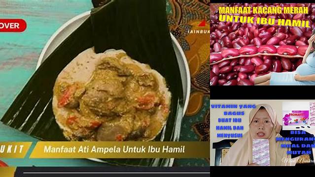 Temukan Manfaat Ati Ampela untuk Ibu Hamil yang Jarang Diketahui
