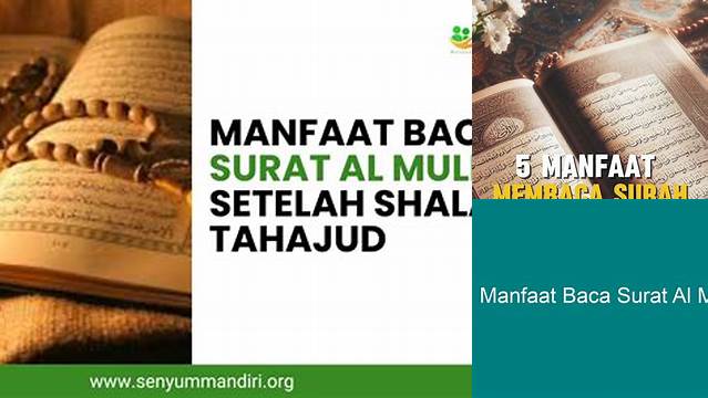Temukan Manfaat Membaca Al-Mulk Yang Perlu Anda Tahu