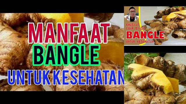 Temukan Manfaat Bangle untuk Kesehatan yang Jarang Diketahui!