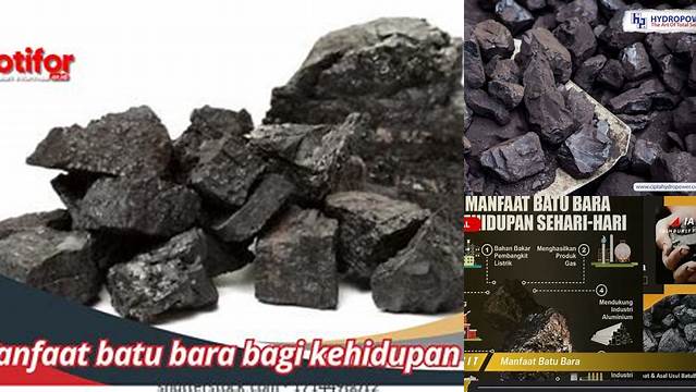 Manfaat Batu Bara yang Tak Terduga bagi Hidup Kita, Wajib Tahu!