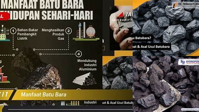 Temukan Manfaat Batubara yang Jarang Diketahui