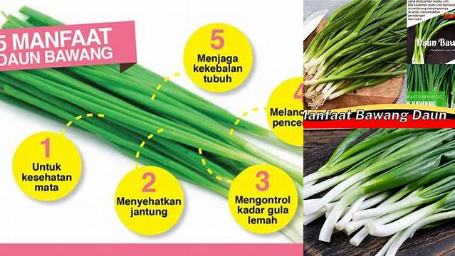 8 Manfaat manfaat bawang daun Temukan Khasiatnya Sekarang