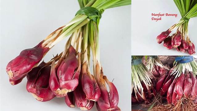 8 Manfaat Bawang Dayak untuk Kesehatan, Penyembuhan Alami yang Efektif