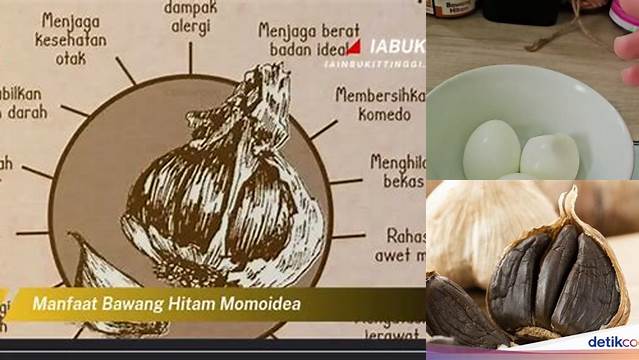 Temukan 7 Manfaat Bawang Hitam Momoidea yang Jarang Diketahui