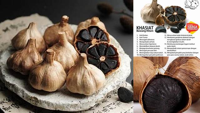 10 Manfaat Bawang Hitam Tunggal untuk Kesehatan Tubuh Anda