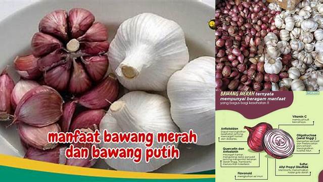 Temukan 4 Manfaat Bawang Merah dan Bawang Putih yang Jarang Diketahui