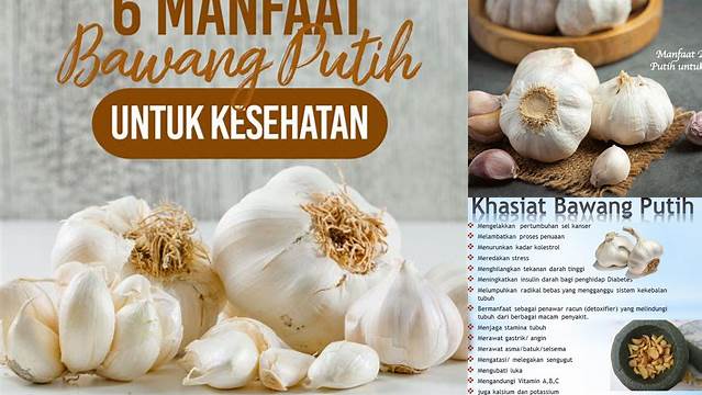 Temukan 9 Manfaat Bawang Putih yang Jarang Diketahui