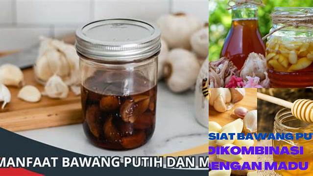 10 Manfaat Bawang Putih dan Madu untuk Kesehatan Tubuh Anda