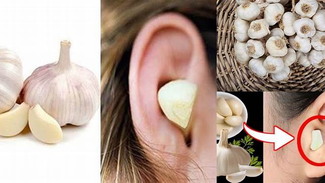 9 Manfaat manfaat bawang putih di telinga Atasi Sakit Secara Alami