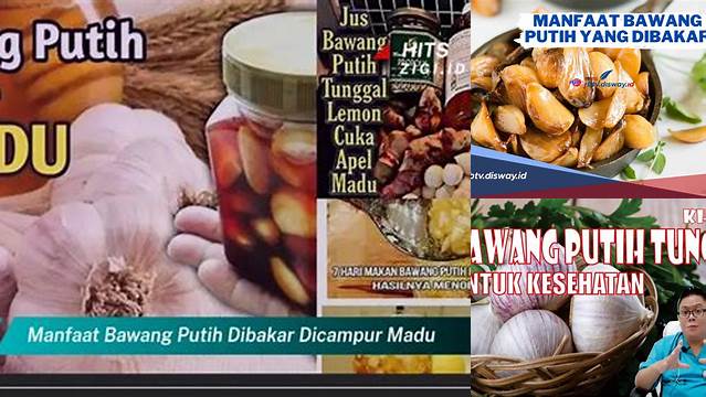 10 Manfaat manfaat bawang putih dibakar Lebih Sehat Alami Teruji