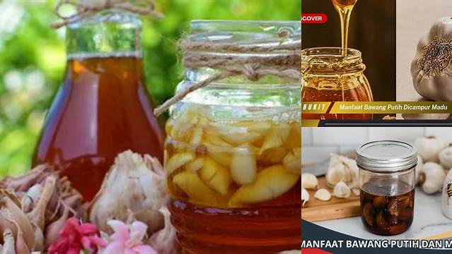 Temukan 10 Manfaat Bawang Putih Dicampur Madu yang Jarang Diketahui