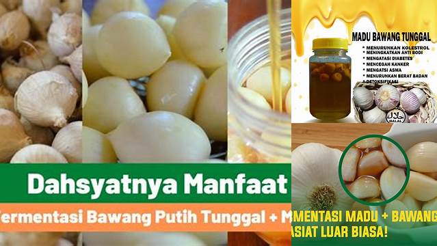 Ungkap Manfaat Bawang Putih Fermentasi yang Jarang Diketahui, Wajib Tahu!