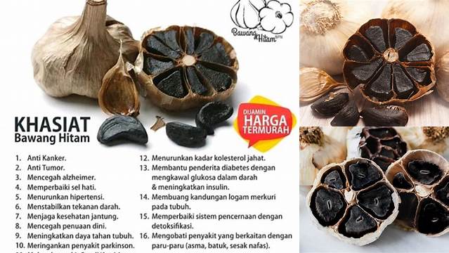 Temukan Manfaat Bawang Putih Hitam yang Jarang Diketahui!