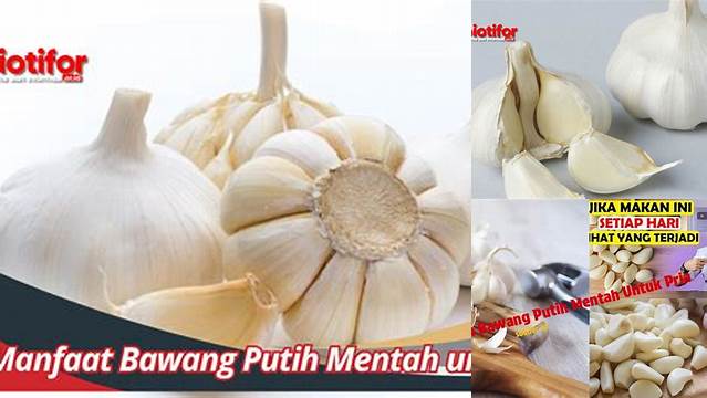 Manfaat Bawang Putih Mentah untuk Pria: Penemuan dan Wawasan yang Jarang Diketahui