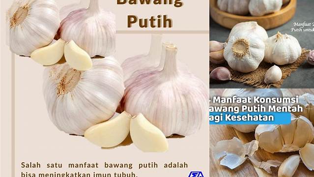 Temukan 7 Manfaat Bawang Putih Mentah untuk Wanita yang Jarang Diketahui